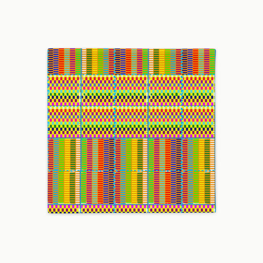 Chromatic Living Cushion Case